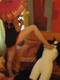 Private Photo of -HotCosplay-